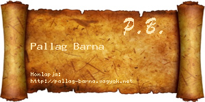 Pallag Barna névjegykártya